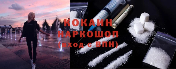 дживик Абаза