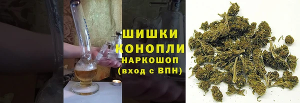 PSILOCYBIN Абдулино