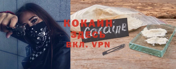 стаф Абинск