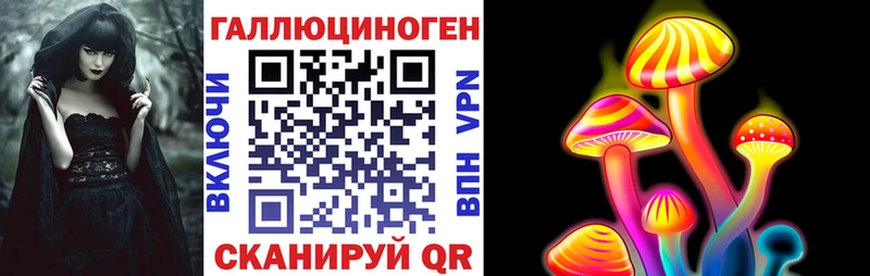 Псилоцибиновые грибы GOLDEN TEACHER даркнет сайт Хасавюрт